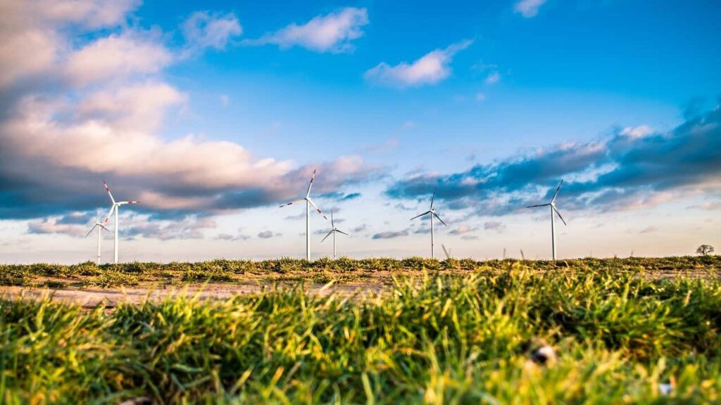 Duurzame bedrijven in Nederland